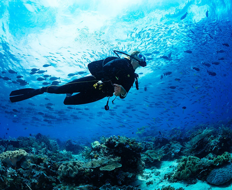 Scuba diving · Nana Golden Beach
